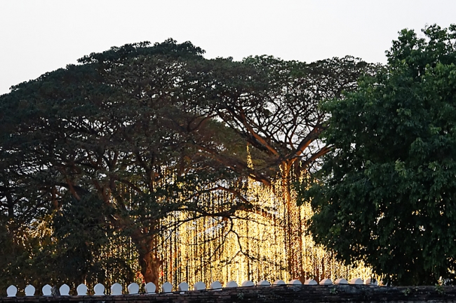 Lopburi King Narai fair-190